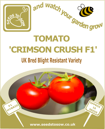 Tomato Crimson Crush F1 Seeds