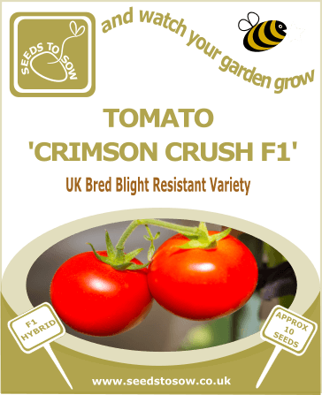 Tomato Crimson Crush F1