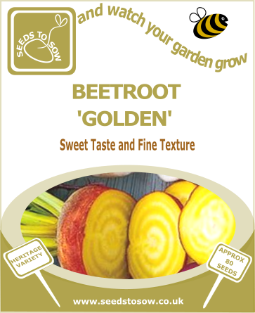 Beetroot Golden