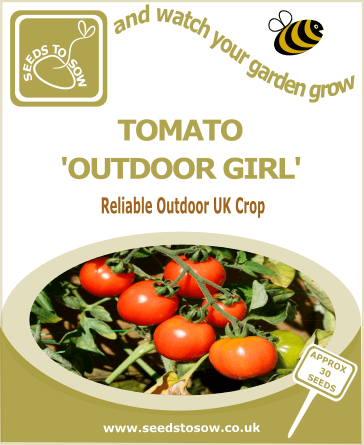 Tomato Outdoor Girl seeds