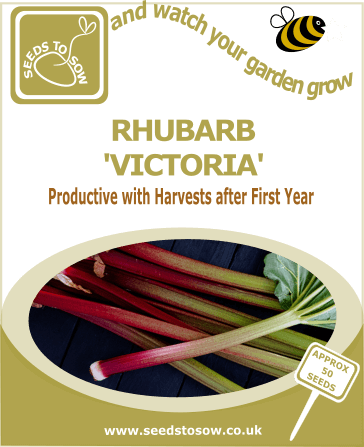 Rhubarb Victoria Seeds