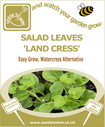 Salad Leaves Land Cress