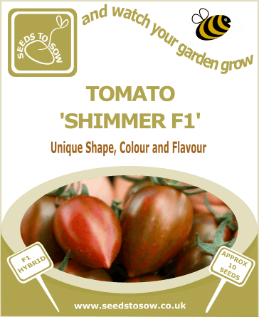 Tomato Shimmer F1 seeds