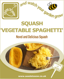 Squash Vegetable Spaghetti