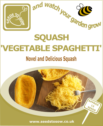 Squash Vegetable Spaghetti