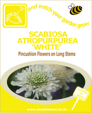 Scabiosa White Seeds