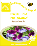 Sweet Pea Matucana Seeds