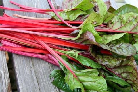 Swiss Chard Rhubarb