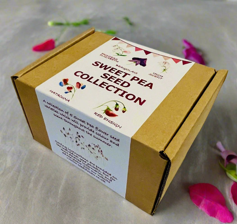 sweet pea flower seed packets Sweet Pea Bundle - Single Colour Varieties