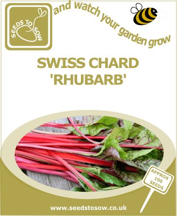 Swiss Chard Rhubarb Seeds