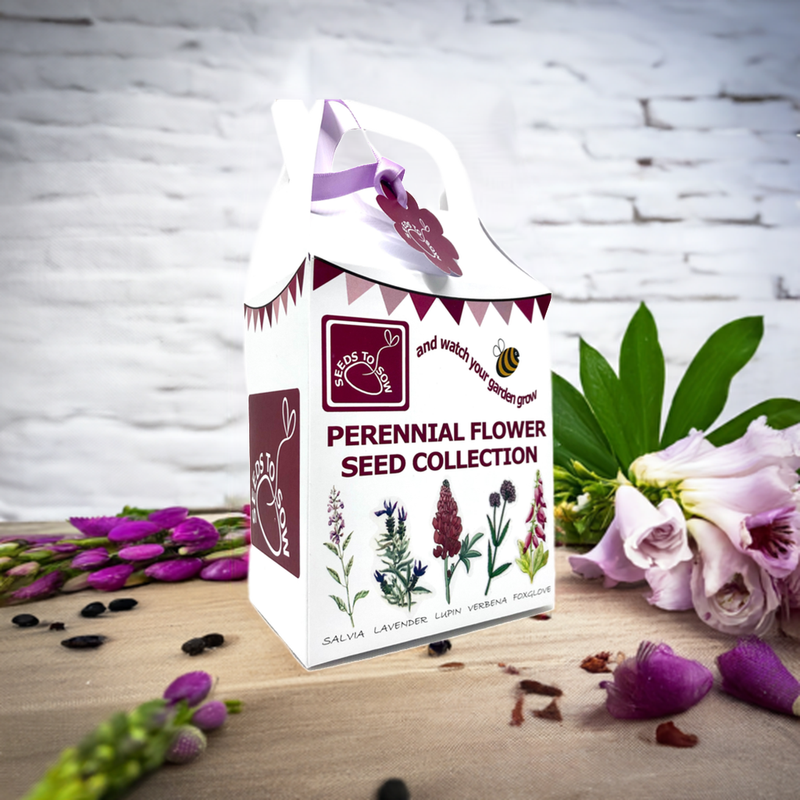 flower seed companies uk Seeds to Sow - Perennial Flower Seed Collection