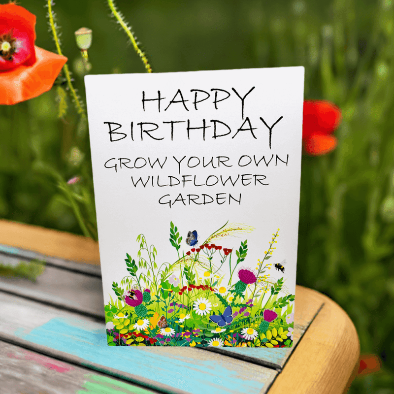 Seed birthday cards