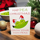 Seed Christmas cards
