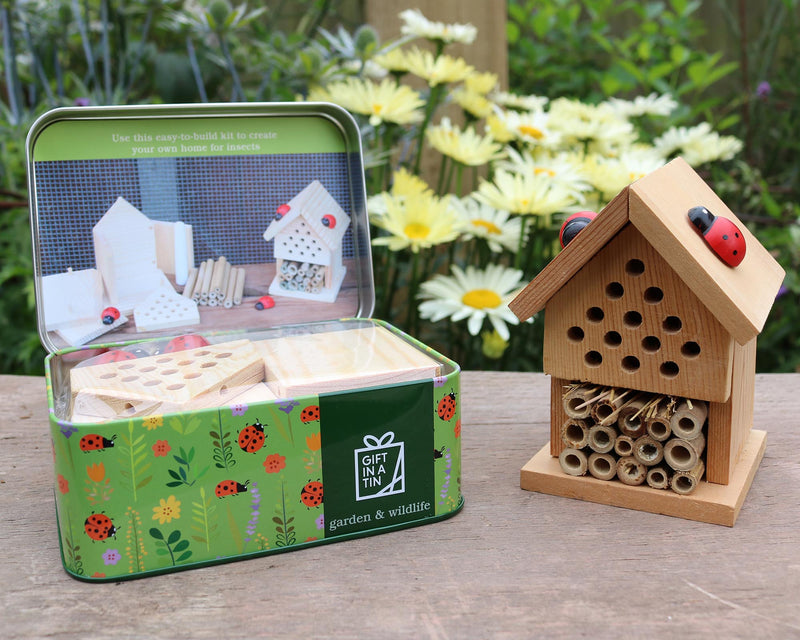 Make your own insect house