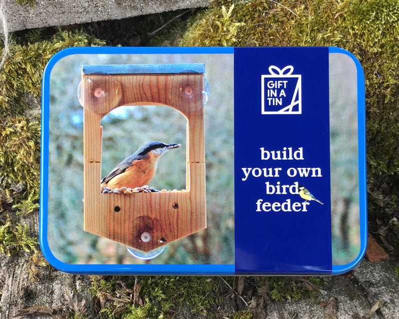 Build a bird feeder