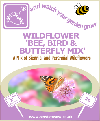Wildflower - Bee, Bird and Butterfly Mix