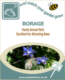 Borage seeds