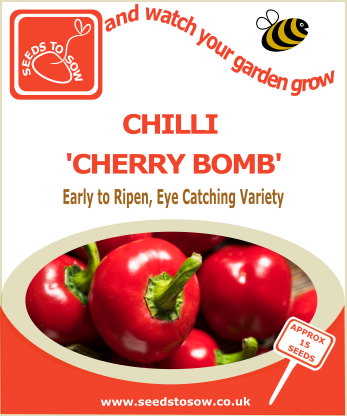 Chilli Cherry Bomb