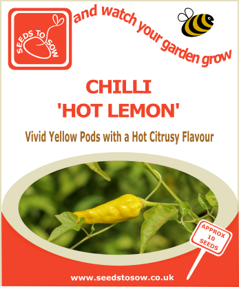 Chilli Hot Lemon