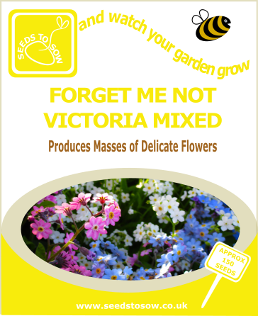 Forget Me Not Victoria Mixed