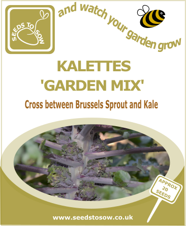 Kalettes seeds