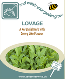 Lovage seeds