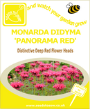 Monarda Didyma Panorama Red seeds