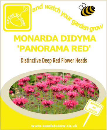 Monarda Didyma Panorama Red seeds