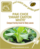 Pak Choi Dwarf Canton White seeds