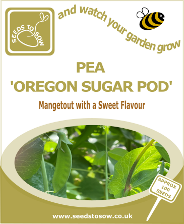 Pea Oregon Sugar Pod Seeds