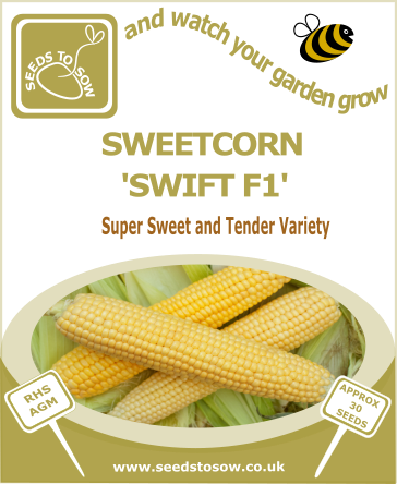 Sweetcorn Swift F1 seeds