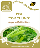 Pea Tom Thumb - Seeds to Sow Limited