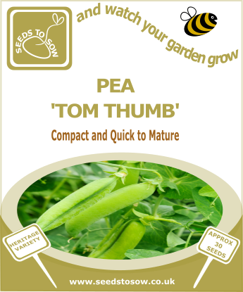 Pea Tom Thumb - Seeds to Sow Limited