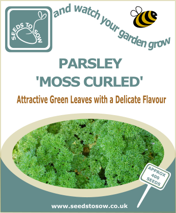 Parsley Moss Curled - Seeds to Sow Limited