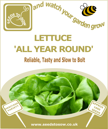 Lettuce All Year Round - Seeds to Sow Limited