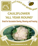 Seed Box - Allotment Seed Collection - Seeds to Sow Limited