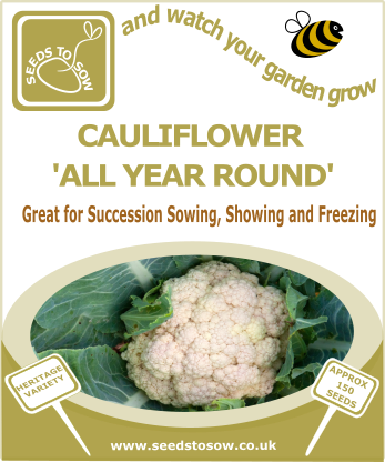 Cauliflower All Year Round - Seeds to Sow Limited