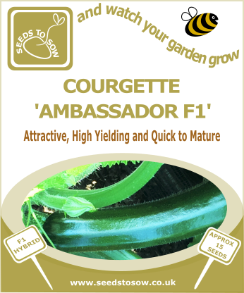 Courgette Ambassador F1 - Seeds to Sow Limited