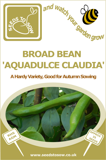 Broad Bean Aquadulce Claudia - Seeds to Sow Limited