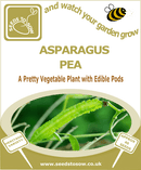 Asparagus Pea - Seeds to Sow Limited