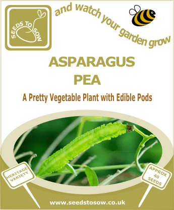 Asparagus Pea - Seeds to Sow Limited
