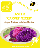 Aster - Carpet Mixed - Seeds to Sow Limited