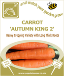 Carrot Autumn King 2 - Seeds to Sow Limited
