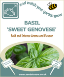 Seed Box - Herb Seed Collection - Seeds to Sow Limited