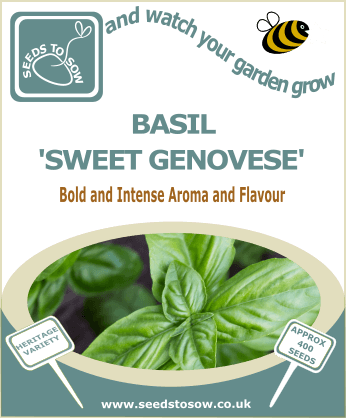 Basil Sweet Genovese - Seeds to Sow Limited