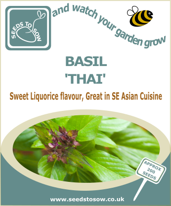 Basil Thai - Seeds to Sow Limited