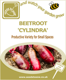 Beetroot Cylindra - Seeds to Sow Limited