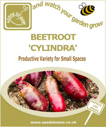 Beetroot Cylindra - Seeds to Sow Limited