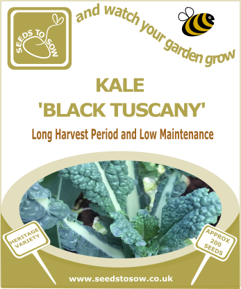 Kale Nero Di Toscana (Black Tuscan Kale) - Seeds to Sow Limited