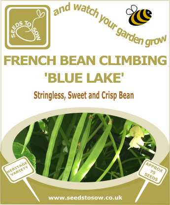 French Bean Climbing Blue Lake - Seeds to Sow Limited